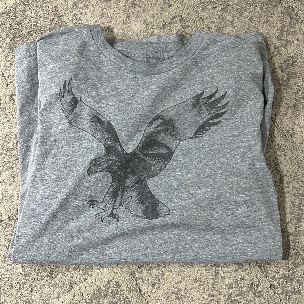 Mens, American eagle S/P/CH, standard fit